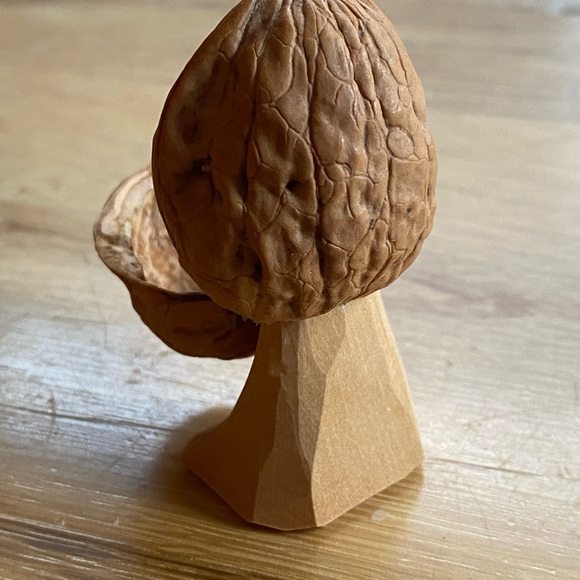 Intricate German Woodcarving in a Walnut Shell - Apothecary - Picture 7 of 7